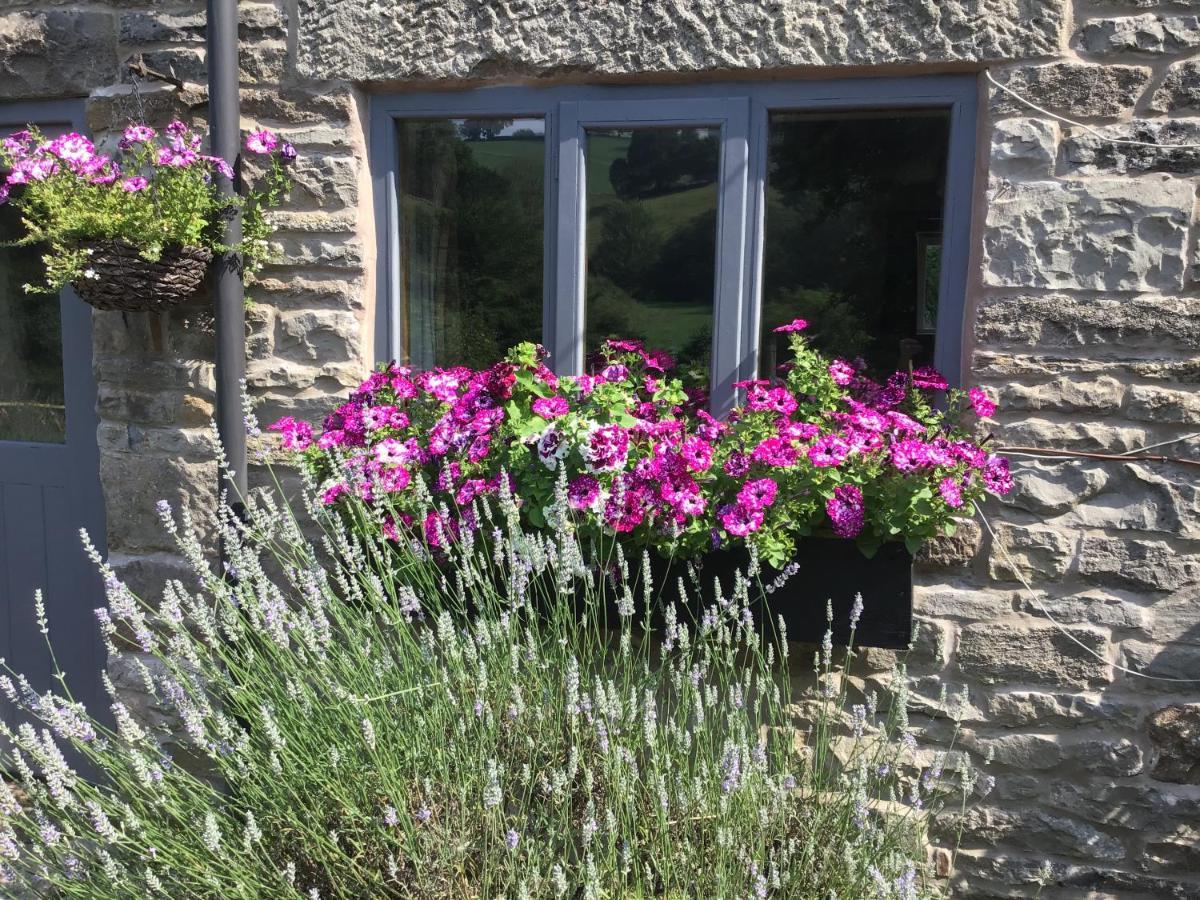 Lee House Farm Holiday Cottage With Possible Use Of Hot Tub Ninety Pounds A Session Waterfall Exteriér fotografie